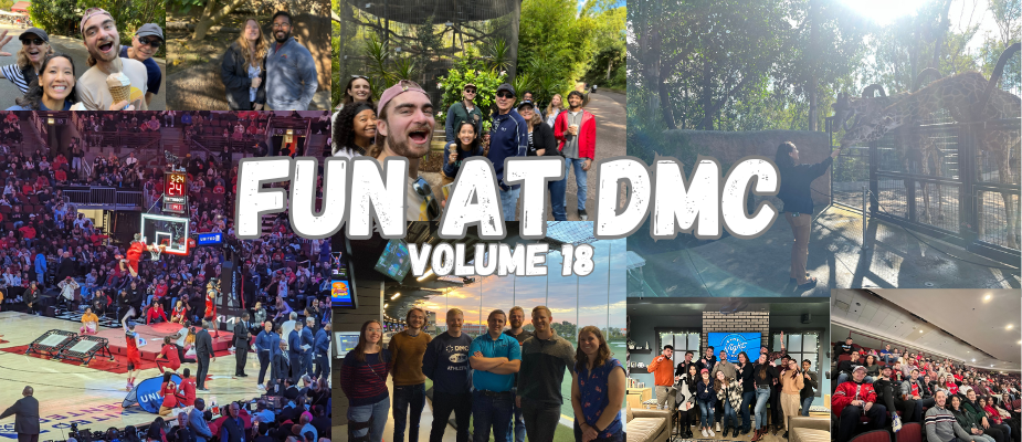 Fun at DMC - Volume 18