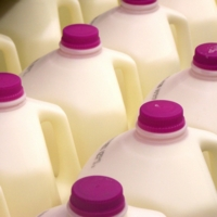 Milk Jugs