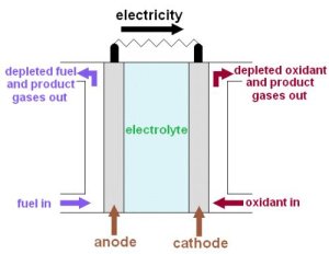 Fuel Cell Basics