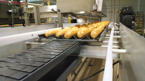 Oven Outfeed Exit Conveyor System