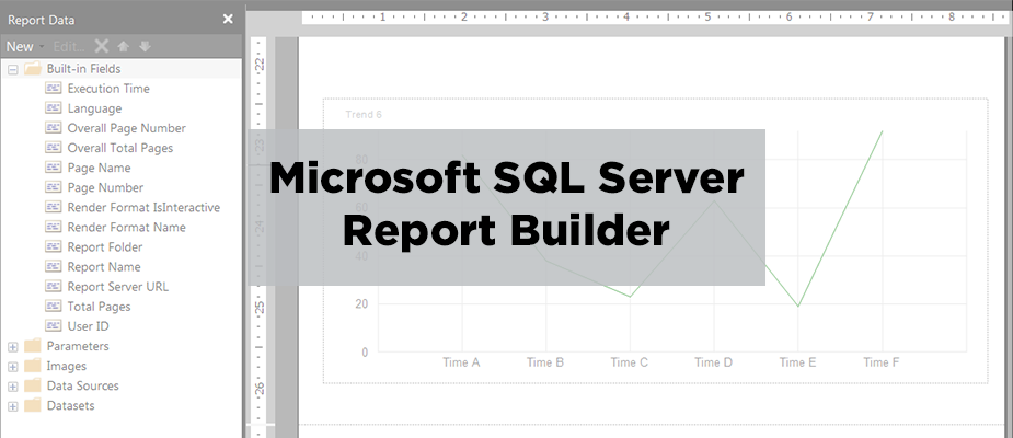 Microsoft SQL Server Report Builder
