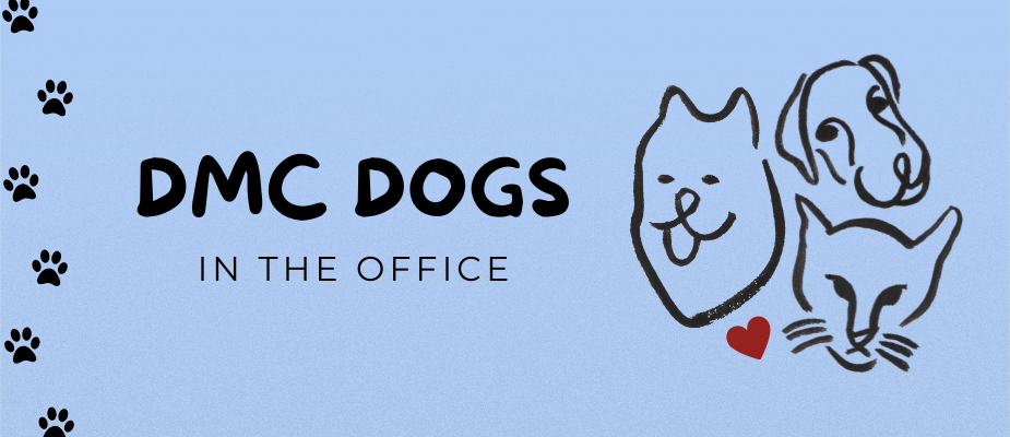 DMC Dogs in the Office