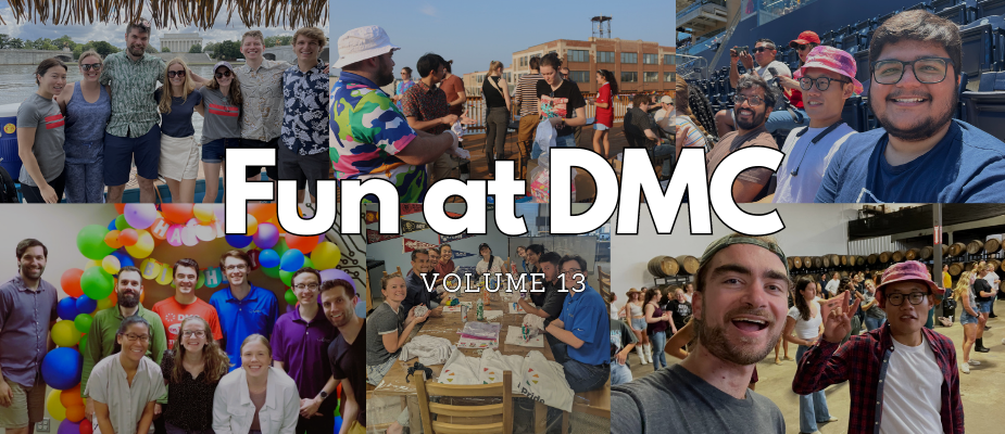 Fun at DMC - Volume 13