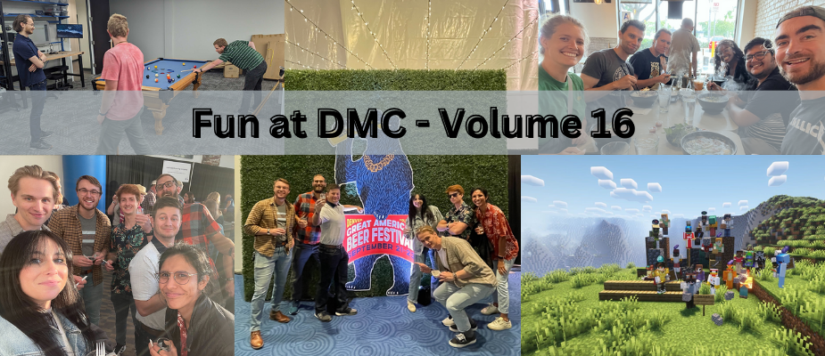 Fun at DMC - Volume 16