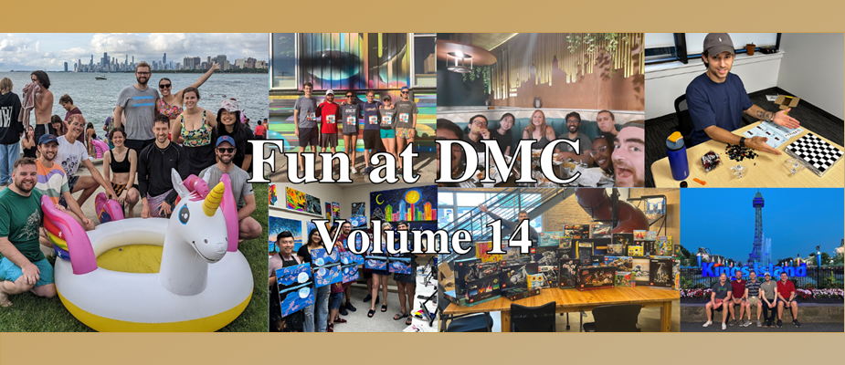 Fun at DMC - Volume 14