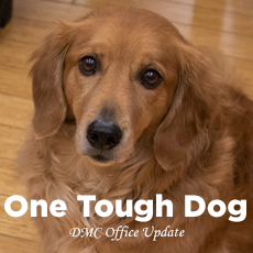 Wiskie: One Tough Dog