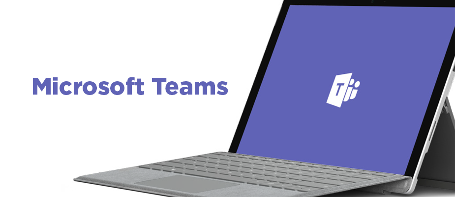 Microsoft Teams Guest Access