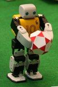 Robots vs. Humans Soccer - Teaching Robots to Learn