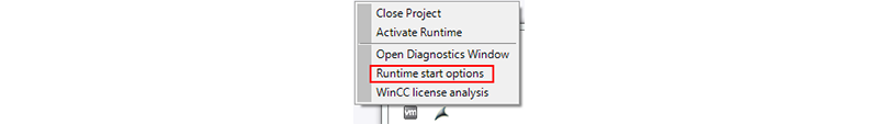 Runtime Start Options