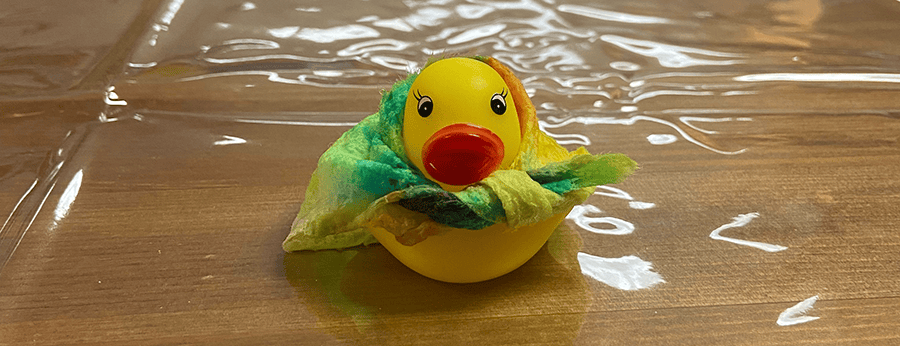 Denver Pride Duck