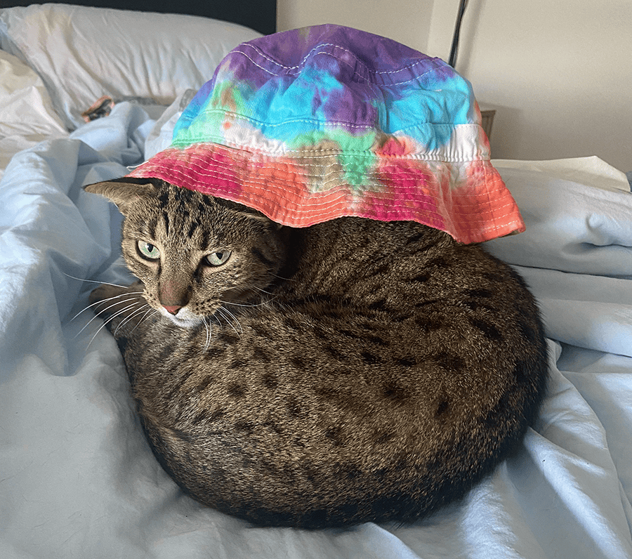 Marble in tie-dyed hat