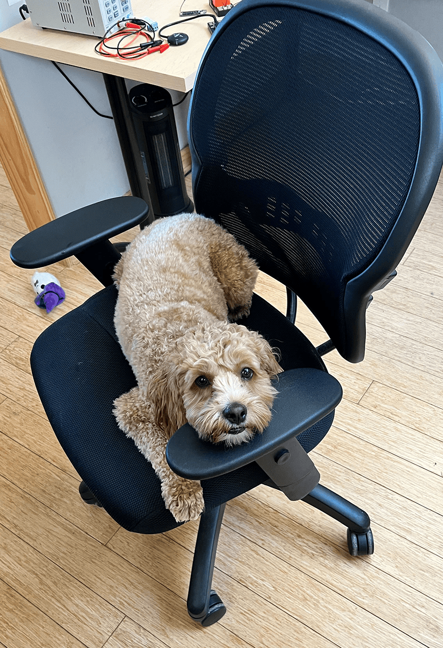 Lenny sitting in a chair in Chicago