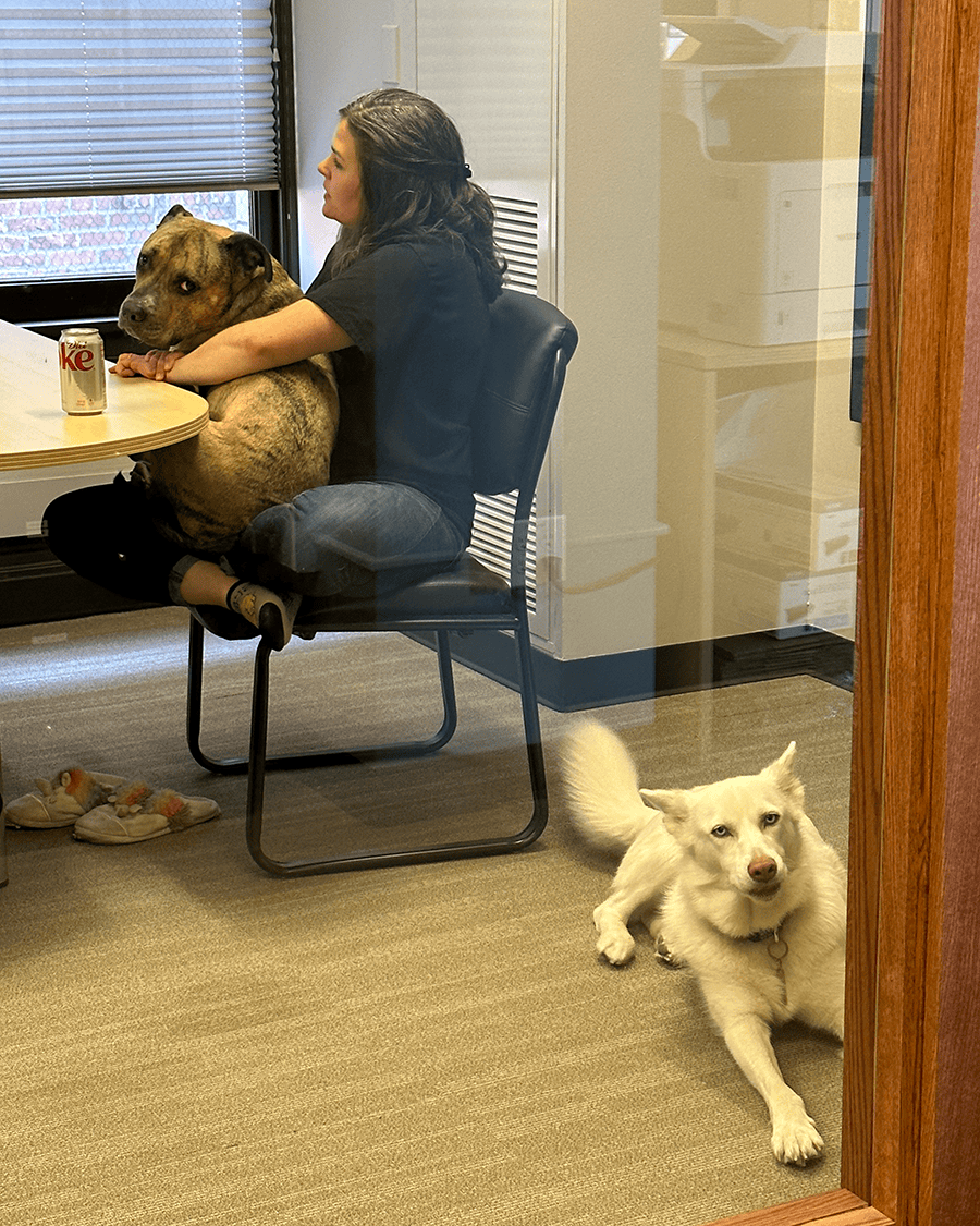 Nooner and Luna in a meeting