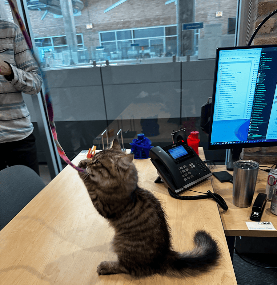 Sasha testing ribbons samples