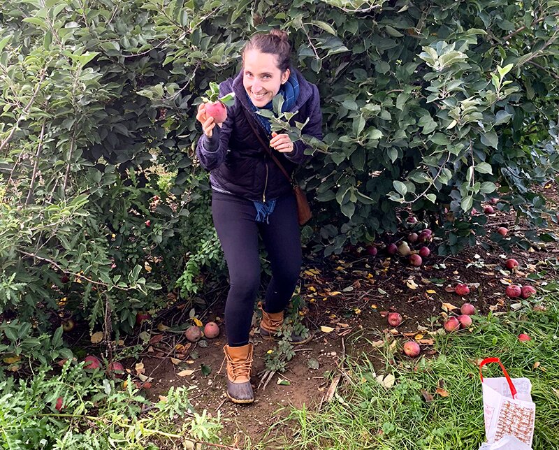 Apple Picking