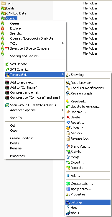 Tortoise SVN Settings