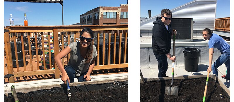 Lexi, Heather, and Jimmy prep the soil for planing in May in the Chicago rooftop garden. 