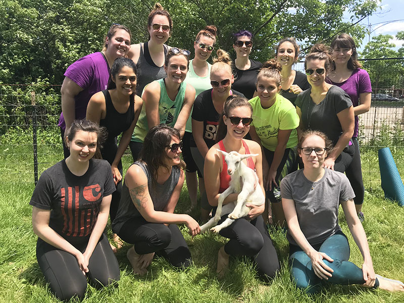 DMC support staff does goat yoga