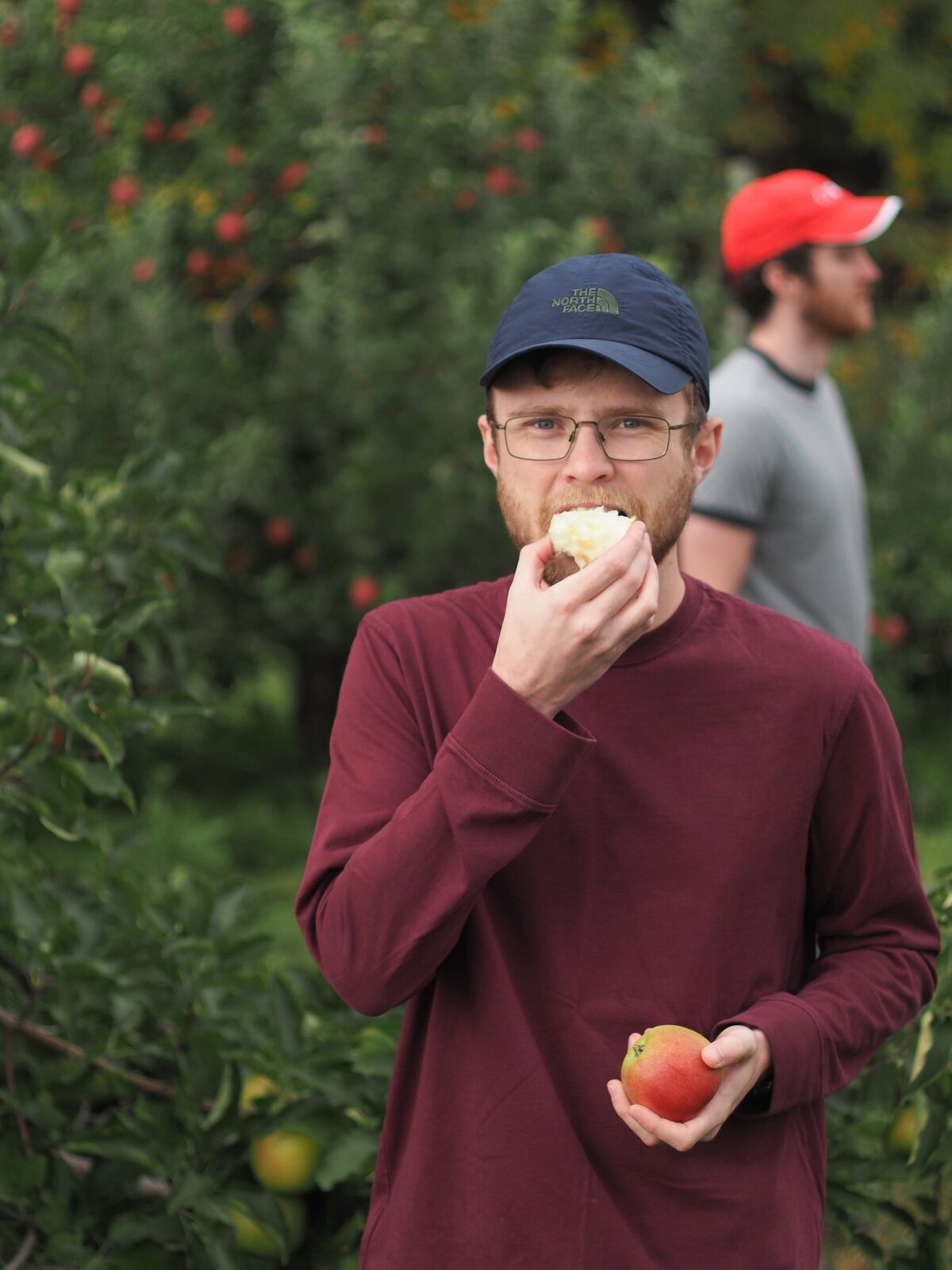 DMC Boston at the apple orchard