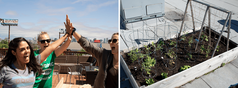 DMC Chicago works on their roof garden