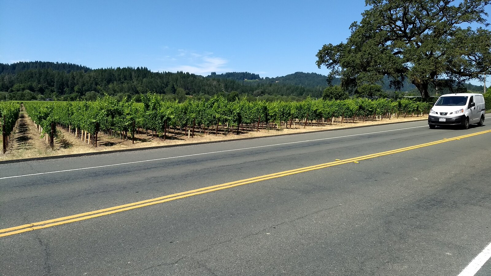 Sonoma Biking