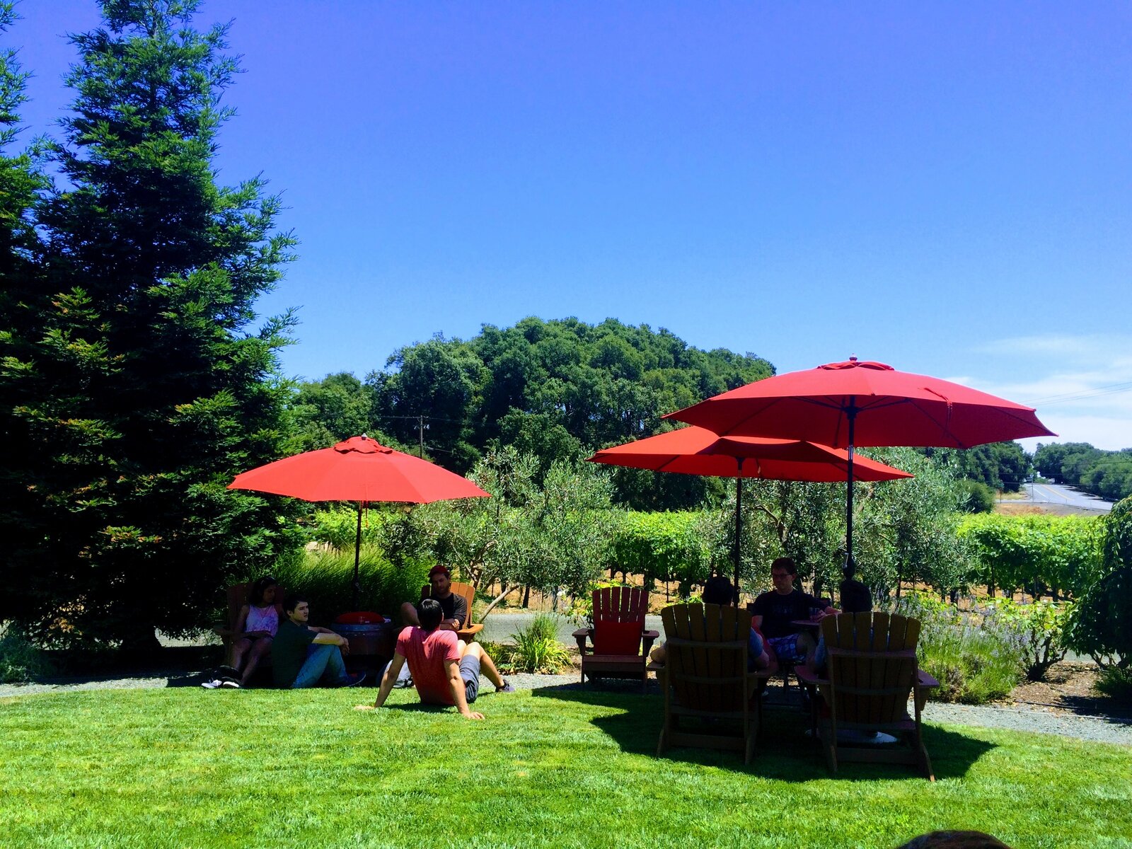 Sonoma Maurtison Winery