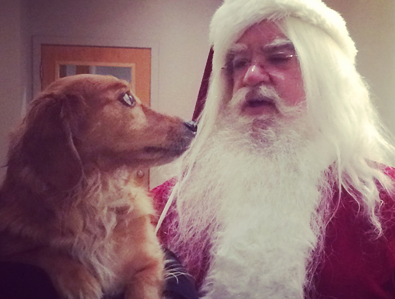 DMC's office dog Wiskie with Santa Claus at the Holiday Cheer Extravaganza