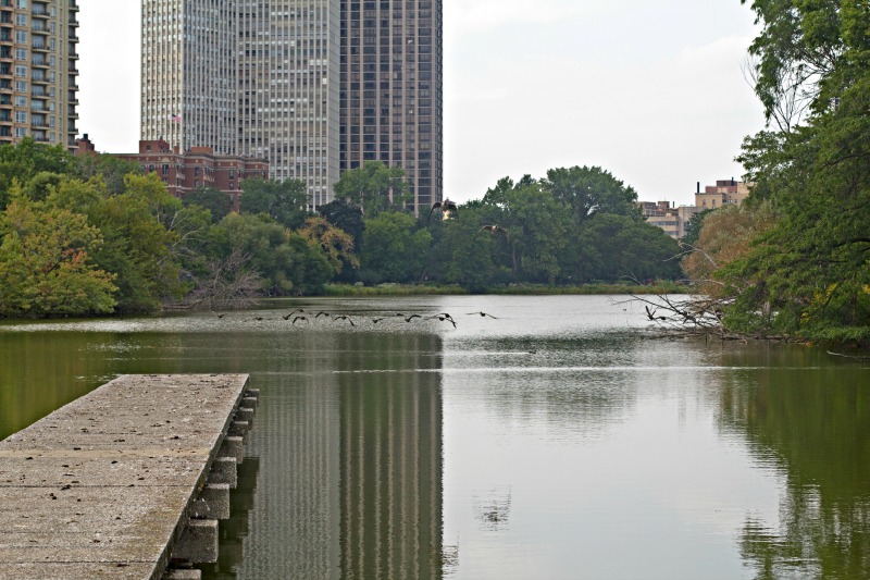 North Pond in Lincoln Park