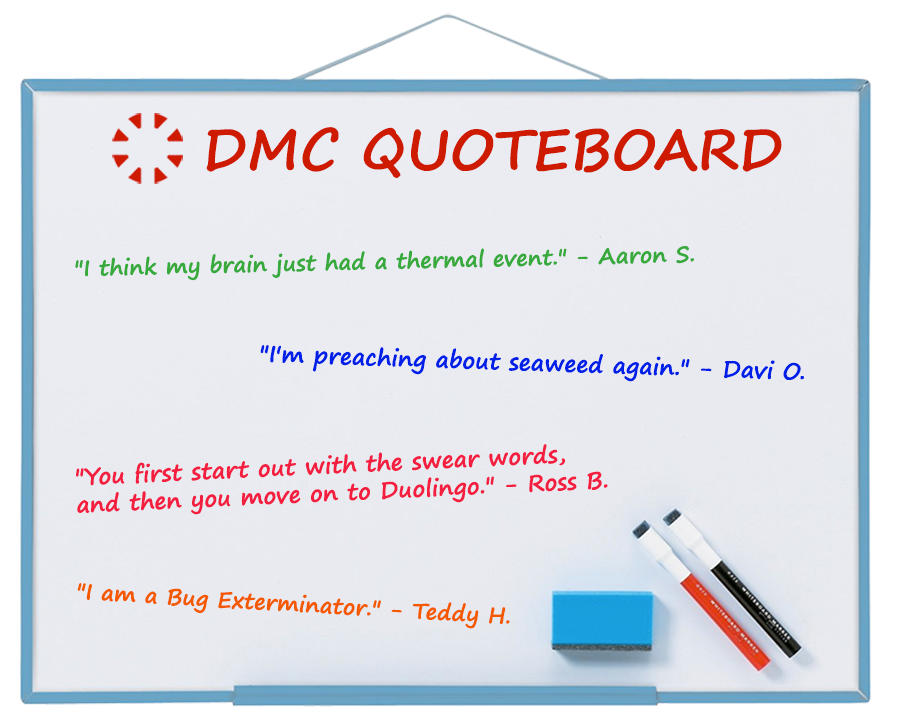 DMC Quote Board - June 2023