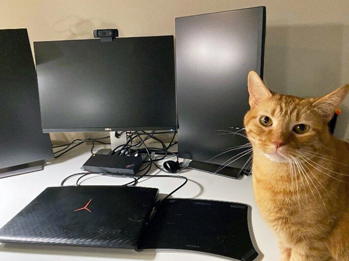 Eli's remote work set up with cat