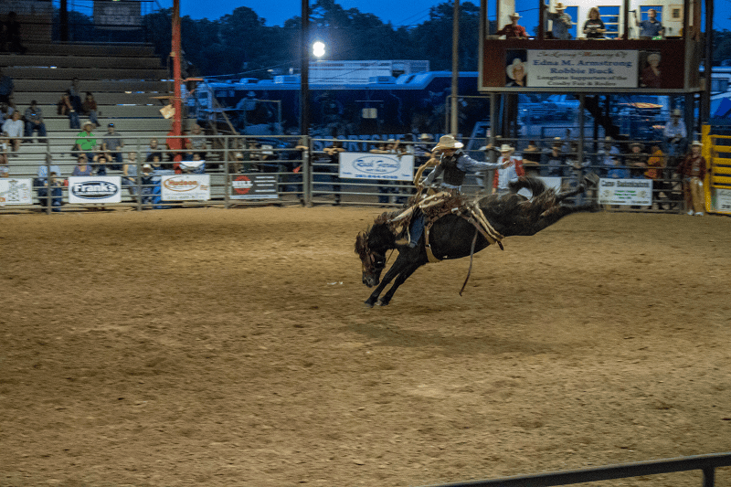 Houston Rodeo