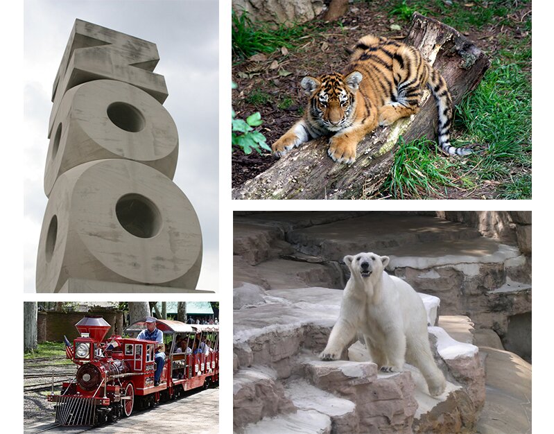 Photos of St Louis Zoo sign, baby tiger, polar bear, and mini train.