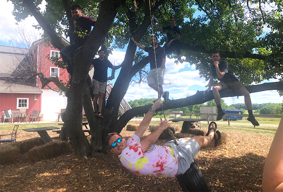 DMC climbing trees