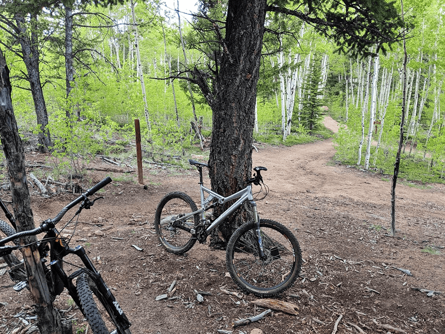 Mountain biking in Colorado