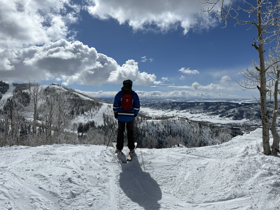 a skier overlooking a snowy landscape
