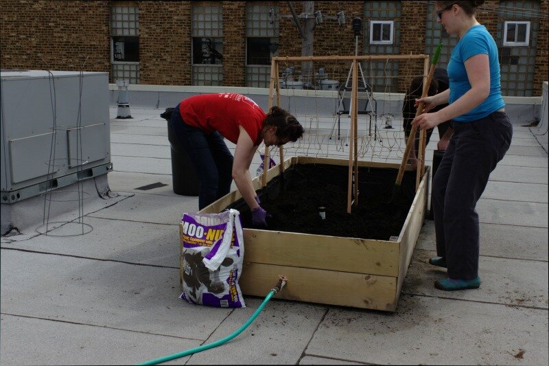 Working on the Garden