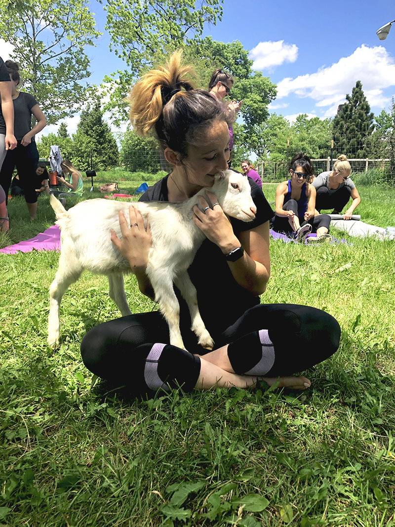 Jamie DMC with baby goat during goat yoga at GPC