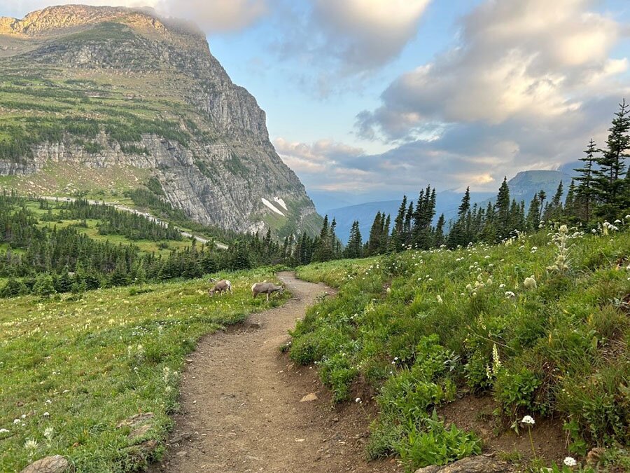 montana hike