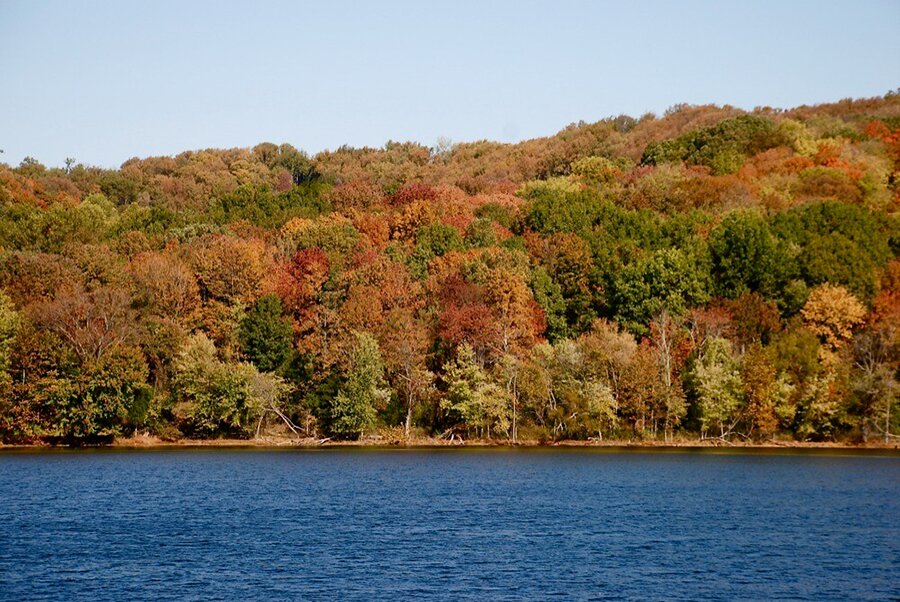 Radnor Lake, TN