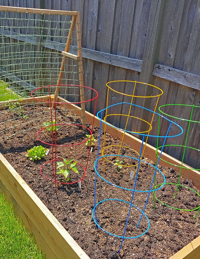 Natalie built a raised flower bed