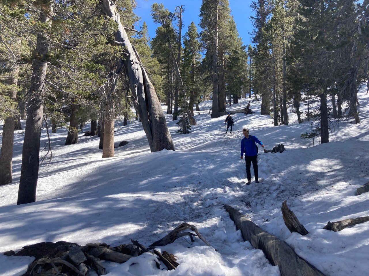 DMC San Diego hiking at San Jacinto state park